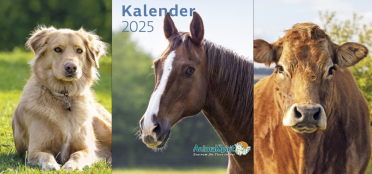 Kalender 2025