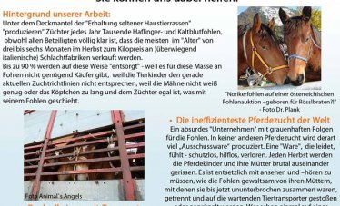 Flyer-Beiblatt Seite 1.jpg