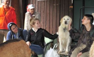 Gymnasialklassenbesuch am Gnadenhof Hendlberg