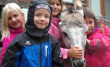 Triangel-Schule Marchtrenk