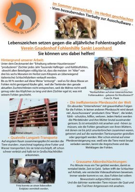 Flyer-Beiblatt Seite 1.jpg